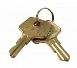 apg Solutions VPK-8K-235 key cabinet/organizer Metallic (DOUBLE-BITTED TUMBLES ASSEMBLY - LOCK KEYS [A9] + LOCK PIN)
