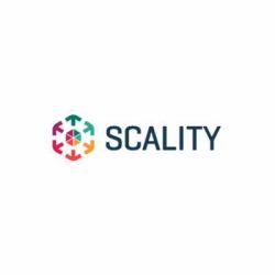 HPE Scality RING Flash Geo Aware 200TB-1PB SW[per TB]with REST and SWIFT Base E-LTU for HP ProLiant Srvs Local storage (SCALITY RING FLASH 20TB -100TB E-LTU)
