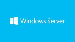Microsoft Windows Server 2019 Client Access License [CAL] (Microsoft)