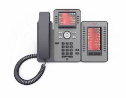 Avaya JEM24 (AVAYA J100 24 BUTTON EXP MOD NEW)