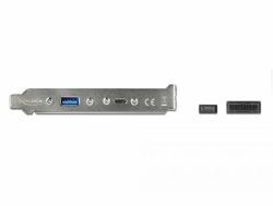 DeLOCK Slot Bracket with 1 x USB Type-C and 1 x USB Type-A Port (Delock Slot bracket - USB-panel - 50 c)