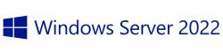 Microsoft Windows Server 2022 Client Access License [CAL] (MICROSOFT WINDOWS SERVER 2022,10 USER CALs)