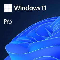 Microsoft Windows 11 Pro OEM (MS SB Windows 11 Pro 64bit [DE] DVD)