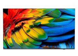 Philips 50HFL6214U 127 cm [50"] 4K Ultra HD Smart TV Wi-Fi Anthracite 400 cd/m² Rollable display (50" 50HFL6214U Commercial TV - 50" Black Commercial TV 4K Ultra HD LED 400 cd/m2 3 x HDMI)