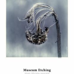 Hahnemühle Museum Etching Natural, White Matt (MUSEUM ETCHING-17IN 12M 350GSM)