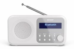 Sharp DR-P420[WH] Tokyo Portable Digital Radio (Sharp DR-P420[WH] Tokyo Portable Digit)