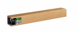 Epson Fine Art Cotton Textured Natural II, 44" x 15m (Epson Fine Art II - Cotton - textured matte - 515 micron - natural white - Roll [111.8 cm x 15 m] - 300 g/mÂ² - 1 roll[s] box - rag paper)