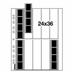 B50434199