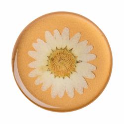 PopSockets Pressed Flower White Daisy (PopSockets Swappable PopGrip - fingerg)