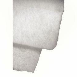 B51111881