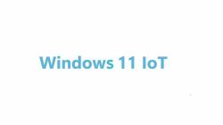 Advantech Win 11 IoT Ent Commercial 1 license[s] Electronic Software Download [ESD] English 2 yea...