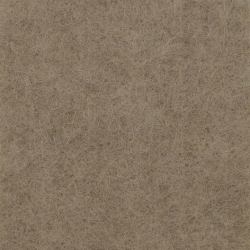 B52667718