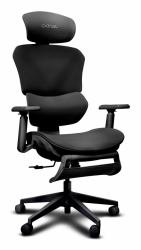 Trust GXT 725 Rivara Ergonomic mesh gaming chair - Black (26010 [New] ERGO GXT725 RIVARA MESH GAMING CHAIR BLK WITH FOOT REST)