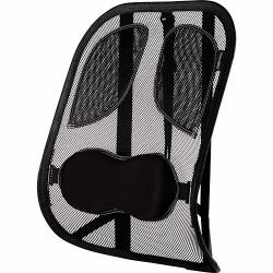 Fellowes Back Support for Office Chair - Professional Series Mesh Office Chair Back Support - Easy To Attach - H19.53 x W30.32 x D36.99cm (Professional Series Mesh Back Support)
