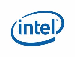 Intel Ethernet Network Adapter E810-CQDA1 - Network adapter - PCIe 4.0 x16 low profile - QSFP28 x 1